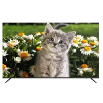 تلویزیون LED هوشمند دوو DSL-65SU1800 سایز 65 اینچ