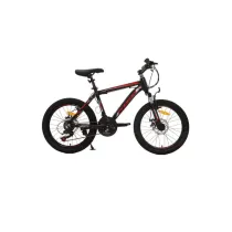 دوچرخه کودک و نوجوان PHOENIX zk20 100-02MAX سایز 20