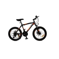 دوچرخه کودک و نوجوان PHOENIX zk20 100 سایز 20