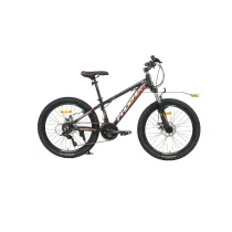 دوچرخه PHOENIX zk100-04 سایز 24 (NITRO)