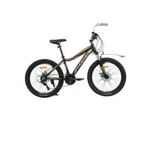 دوچرخه PHOENIX zk100-06 ARIO سایز 24