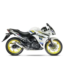 موتور سیکلت بنزینی مگلی 200R SE