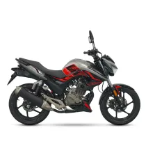 موتور سیکلت بنزینی زونتس N2 230 N