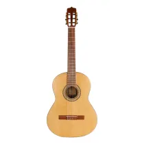 گیتار کلاسیک پارسی P70