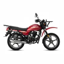 موتورسیکلت به پر شکاری SH200