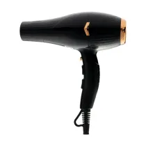سشوار حرفه ای سیلور کراست کد SC-1001