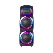 اسپیکر آیوا مدل AW-X1129 DSP PRO دارای 2 ساب ووفر 12 اینچ، رقص نور و کارائوکه