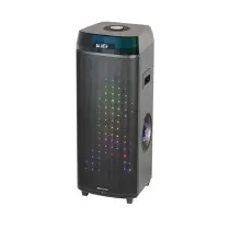 اسپیکر قابل حمل شارژی آیوا AW-X1113DSP دارای 2 ساب ووفر 10 اینچی، رقص نور، کارائوکه و میکروفون
