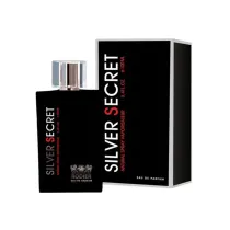 ادوپرفیوم مردانه رودیر Silver Secret اصل