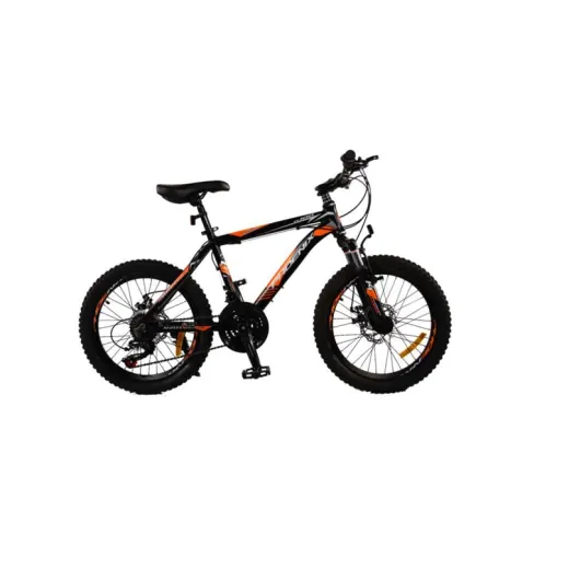دوچرخه کودک و نوجوان PHOENIX zk20 100 سایز 20 - تصویر 1