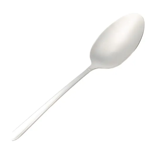 کفگیر بزرگ استیل MGS کد DF008-1