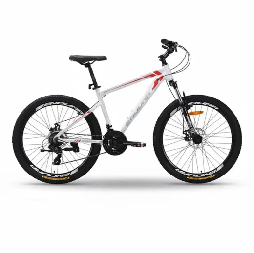 zk10 City Teen Bike