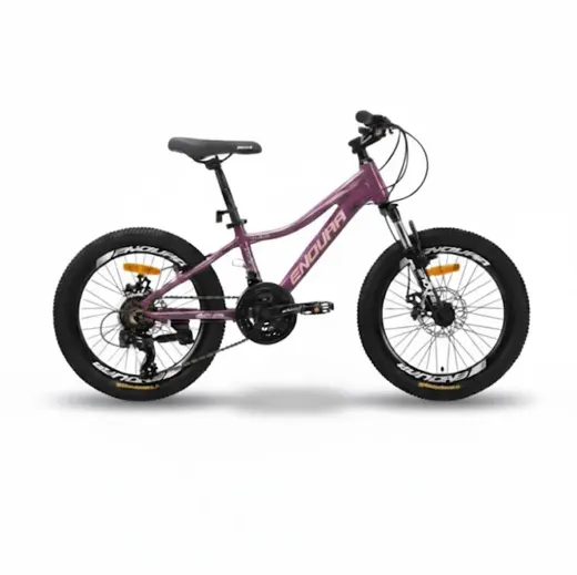 Children's and teenagers' bicycles zk20 Dura Andorra