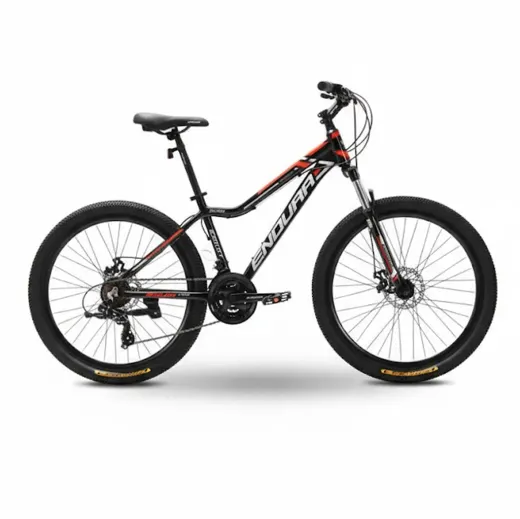Eskat zk20 teenage bike