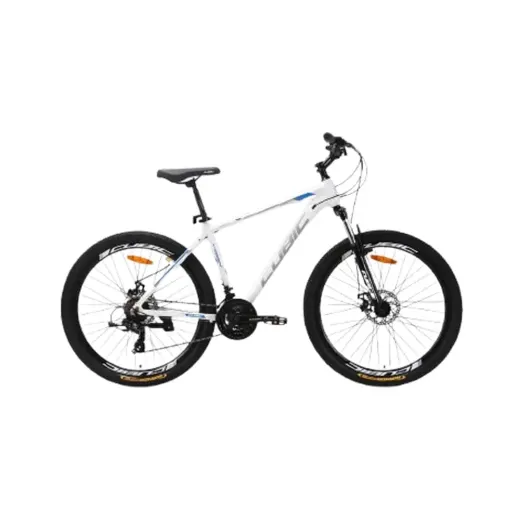 Vigen ZK40-01 Teen Bicycle