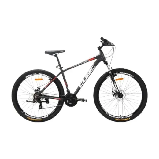 Vigen ZK40-01 Teen Bicycle29