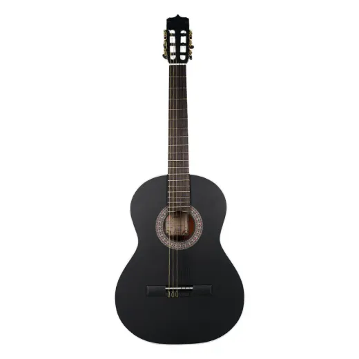 گیتار کلاسیک پارسی M4