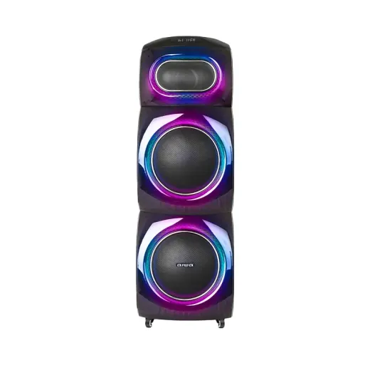 اسپیکر آیوا مدل AW-X1108DSP PRO دارای 2 ساب ووفر 10 اینچ، رقص نور و کارائوکه