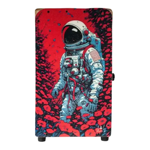 Delshad Cajon, Design 1