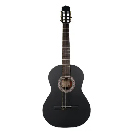 گیتار کلاسیک پارسی M4