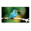 تلویزیون سونیا S-55DU8777-UHD-QLED اندروید