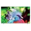 تلویزیون هوشمند QLED سونیا مدل S-55QU9605