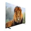 تلویزیون LED دوو مدل DLE-50M6200EUM سایز 50 اینچ