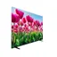 تلویزیون LED هوشمند دوو DSL-65SU8100eu سایز 65 اینچ