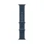 ساعت هوشمند اپل Ultra 2 Titanium Ocean Band مدل 49 میلی متری