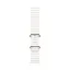 ساعت هوشمند اپل Ultra 2 Titanium Ocean Band مدل 49 میلی متری