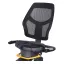 دوچرخه ثابت پشتی دار پروتئوس Pro Master R12