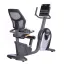 دوچرخه ثابت پشتی دار پروتئوس Pro Master R12