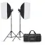 کیت فلاش گودکس Godox MS300-V Studio Flash Monolight