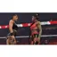 بازی WWE 2k23 برای XBOX One