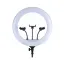 رینگ لایت زئوس ZEUS YQ-460B Ring Light نمای نزدیک
