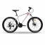 zk10 City Teen Bike