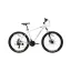 Vigen ZK40-01 Teen Bicycle