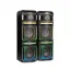 اسپیکر دوقلو AW-X2125 DSN PRO آیوا