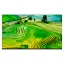 تلویزیون ال ای دی سایز 43 اینچ جی وی سی مدل LT-43N7115