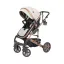 كالسكه تک اسپرینگ اسپيدا Gray bronze