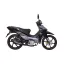 موتور سیکلت لیفان PK 135 ترمز دیسکی ریموت دار Black